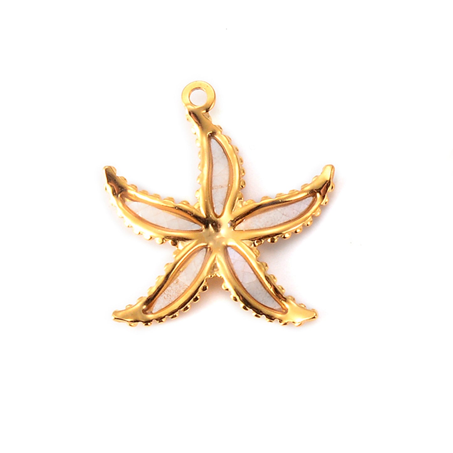 Estrella de mar